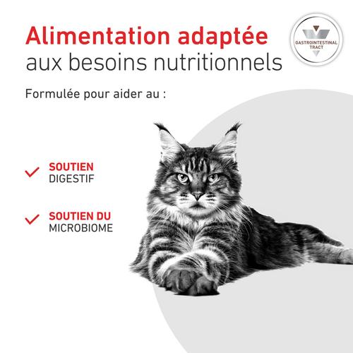 Visuel 3 du produit Croquette pour chat Royal Canin Gastro Intestinal - 2 kg