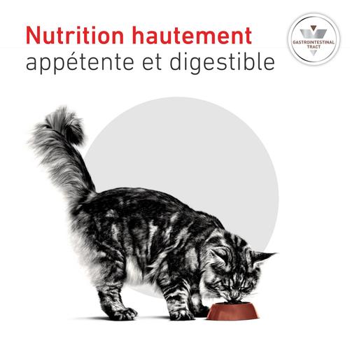 Visuel 5 du produit Croquette pour chat Royal Canin Gastro Intestinal - 2 kg