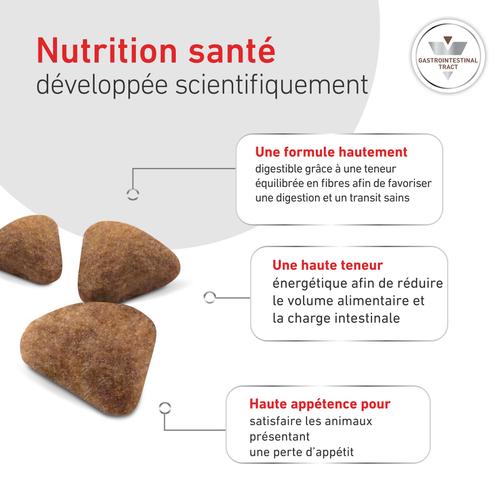 Visuel 6 du produit Croquette pour chat Royal Canin Gastro Intestinal - 2 kg
