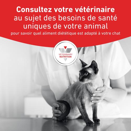 Visuel 9 du produit Croquette pour chat Royal Canin Gastro Intestinal - 2 kg