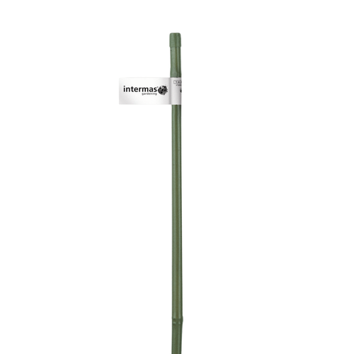 Visuel 1 du produit Tuteur bambou plastifié coloris vert Ø 7/11 mm x 0,60 m