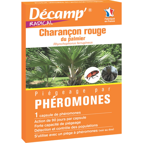 Visuel 1 du produit Piégeage par phéromones anti charançon rouge du palmier Décamp