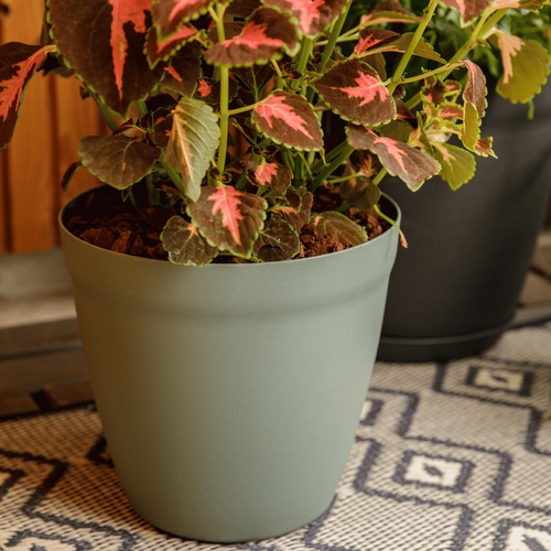 Visuel 2 du produit Pot rond lilo Poetic botanic® coloris vert en plastique recyclé 11,7 L - Ø 30 cm