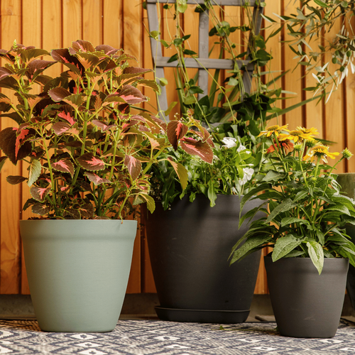 Visuel 3 du produit Pot rond lilo Poetic botanic® coloris vert en plastique recyclé 3,9 L - Ø 20 cm