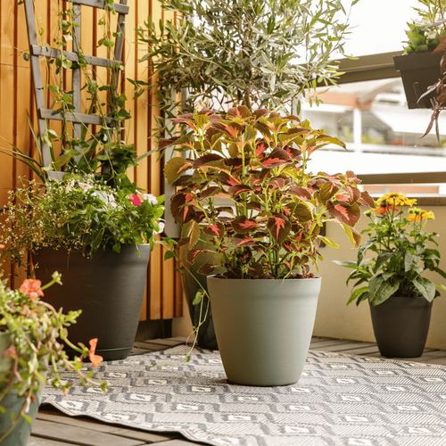 Visuel 4 du produit Pot rond lilo Poetic botanic® coloris gris en plastique recyclé 20,8 L - Ø 35 cm