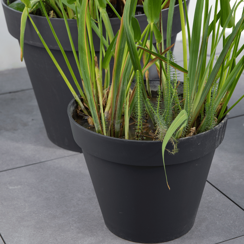 Visuel 2 du produit Pot Toscane Gris anthracite Ø.30 x H.26 cm