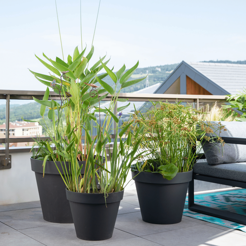 Visuel 3 du produit Pot Toscane Gris anthracite Ø.30 x H.26 cm
