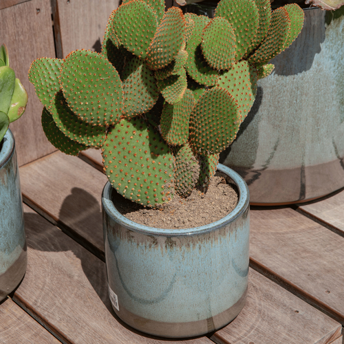 Visuel 3 du produit Pot en terre cuite émaillée coloris bleu Deroma Océan - Ø 20 x H 18 cm