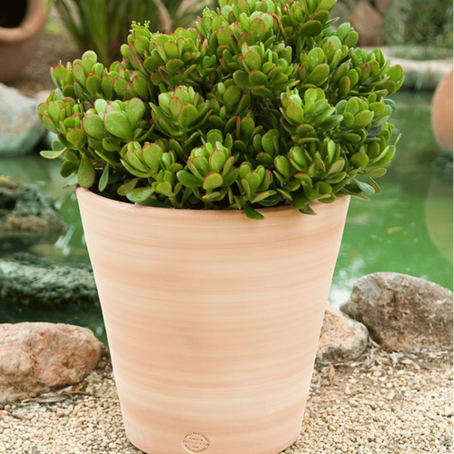 Visuel 2 du produit Pot Vaso lisse D40x H40