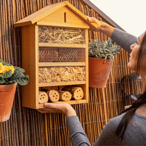 Visuel 3 du produit Petit hôtel à insectes en sapin Douglas