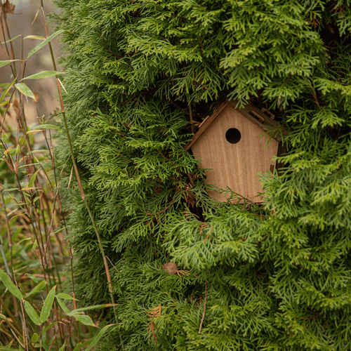 Visuel 4 du produit Kit nichoir en bois botanic® (à monter)