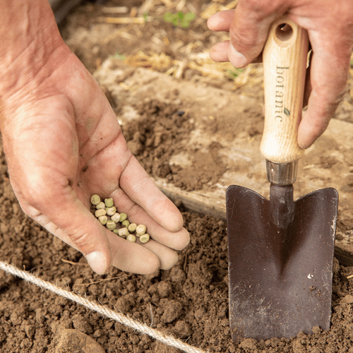 Visuel 3 du produit Transplantoir marron botanic®