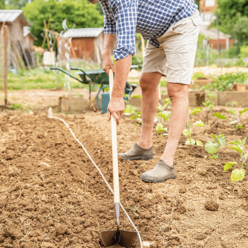 Visuel 4 du produit Butteur 15 cm botanic®
