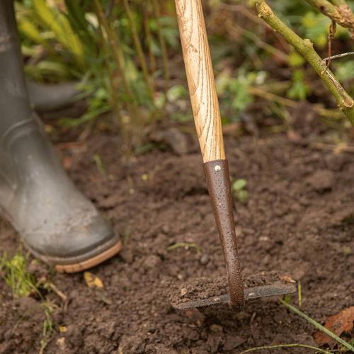 Visuel 3 du produit Binette Nanterre 16 cm botanic®