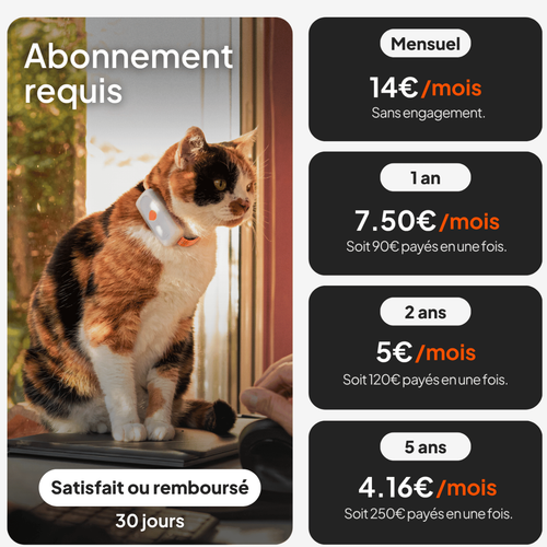 Visuel 6 du produit Collier GPS pour chat coloris blanc Weenect