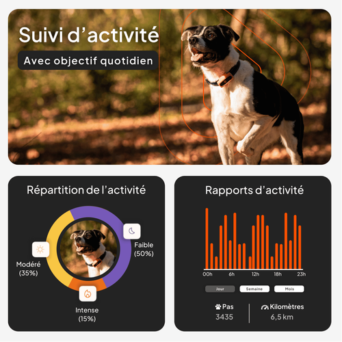 Visuel 3 du produit Collier GPS pour chien coloris blanc Weenect
