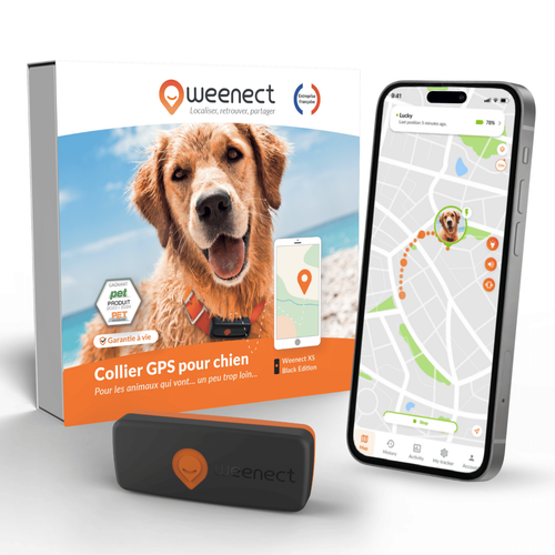 Visuel 1 du produit Collier GPS pour chien coloris noir Weenect