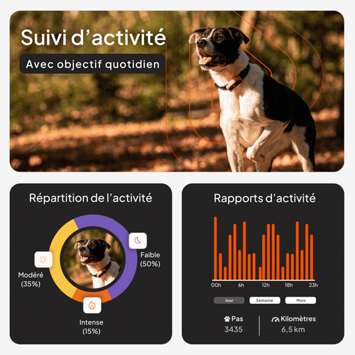 Visuel 3 du produit Collier GPS pour chien coloris noir Weenect