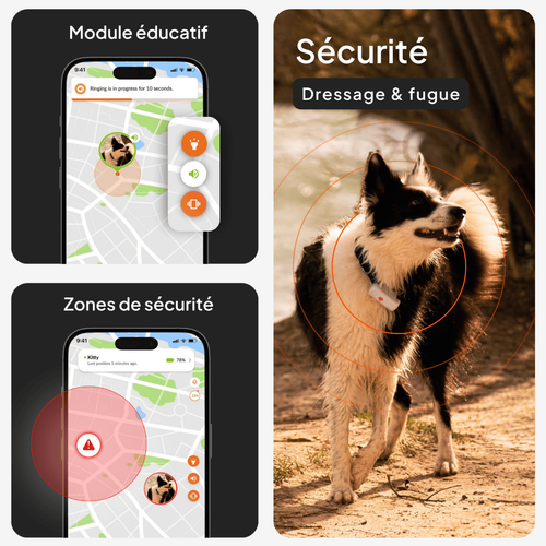 Visuel 4 du produit Collier GPS pour chien coloris noir Weenect