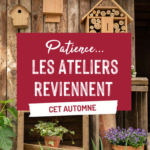 Visuel 1 du produit Atelier magasin