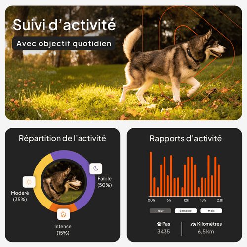 Visuel 4 du produit Collier GPS pour chien coloris orange Weenect XT