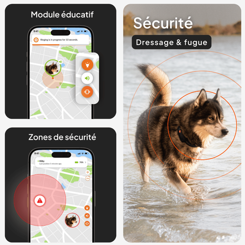 Visuel 6 du produit Collier GPS pour chien coloris orange Weenect XT