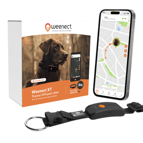 Visuel 1 du produit Collier GPS pour chien coloris noir Weenect XT