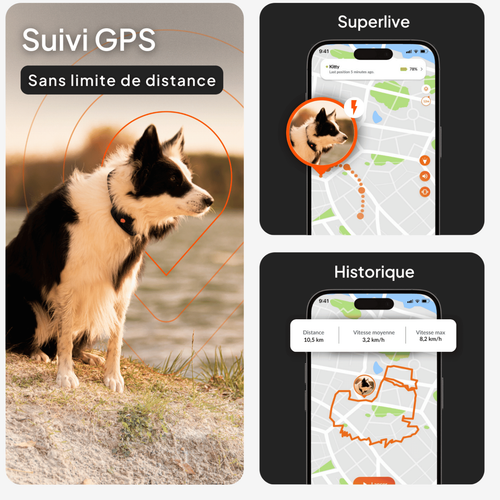 Visuel 3 du produit Collier GPS pour chien coloris noir Weenect XT