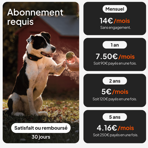 Visuel 5 du produit Collier GPS pour chien coloris noir Weenect XT