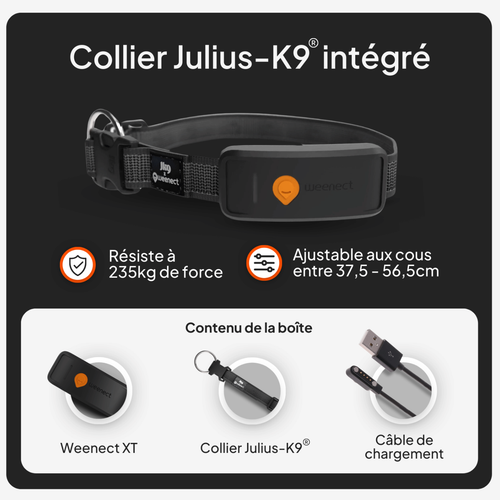 Visuel 8 du produit Collier GPS pour chien coloris noir Weenect XT