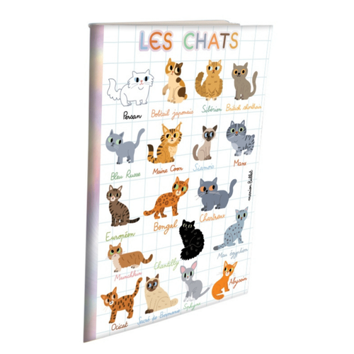 Visuel 3 du produit Cahier doré aux Éditions Cartesdart