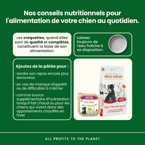 Visuel 3 du produit Pâtée pour chien biologique BIO ORGANIC au bœuf et légumes Almo Nature - 300 g
