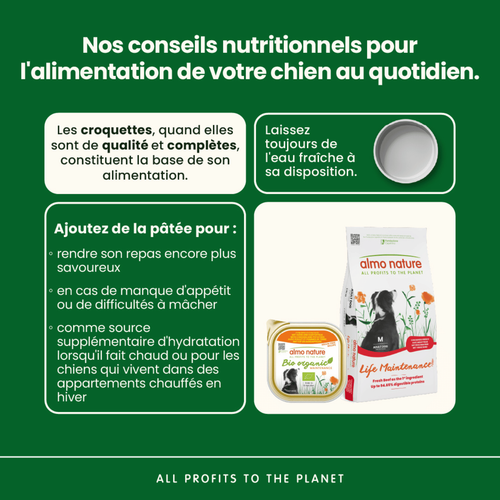 Visuel 4 du produit Pâtée pour chien biologique BIO ORGANIC au poulet et pommes de terre Almo Nature - 300 g