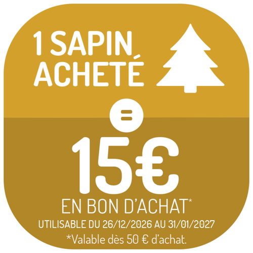 Visuel 3 du produit Sapin de Noël naturel coupé Pungens - de 120 à 150 cm