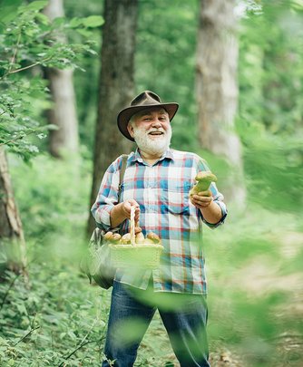 Tout savoir sur la cueillette des champignons
