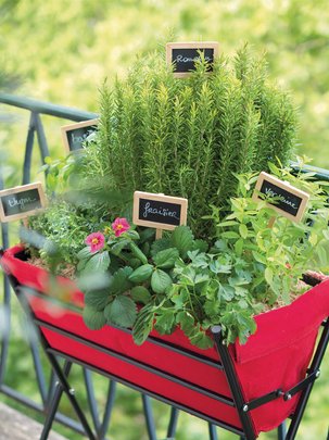 Jardinière aromatiques sur un balcon