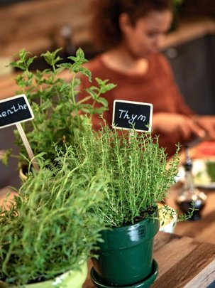 Des pots de plantes aromatiques dans une cuisine