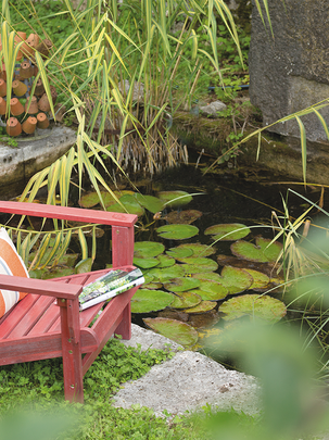 Conseils botanic® Maintenir l'équilibre biologique du bassin Conseils botanic® Maintenir l'équilibre biologique du bassin