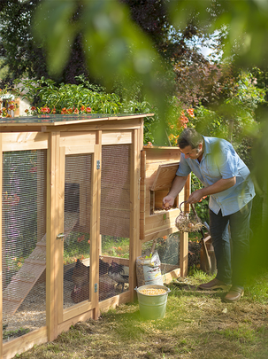 Conseils botanic® Installer mon premier poulailler dans mon jardin Conseils botanic® Installer mon premier poulailler dans mon jardin