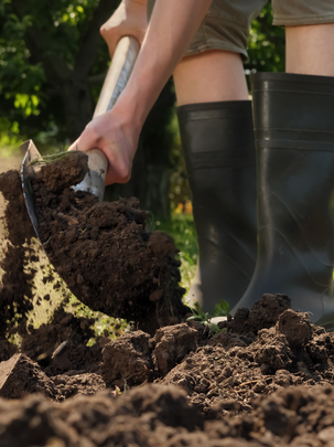 Conseil : comment jardiner avec la lune