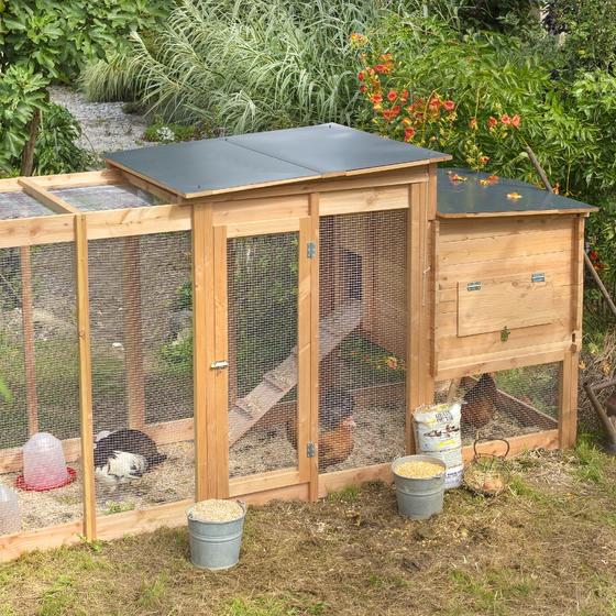 Grand poulailler en bois dans le jardin