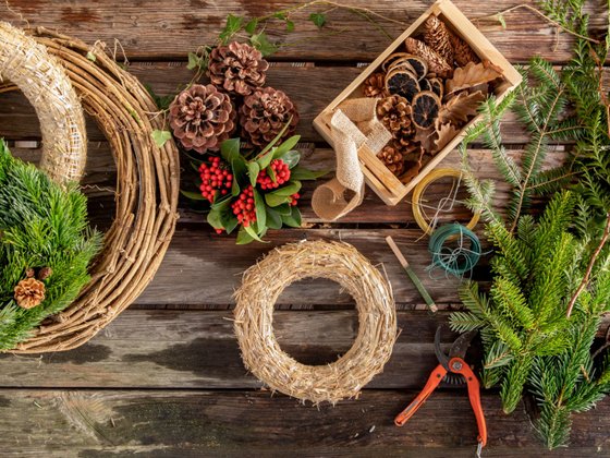 légumes d'hiver du potager