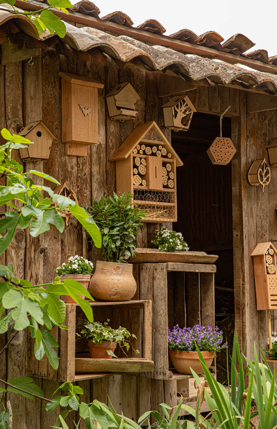 Image biodiversité hôtel à insecte