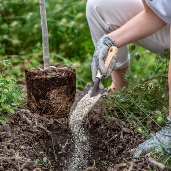Femme qui met de l'amendement et engrais pour faire sa plantation