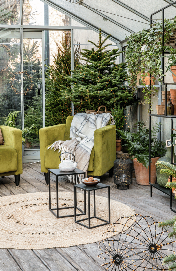 Une serre de jardin cocooning avec fauteuil et végétaux d'extérieur