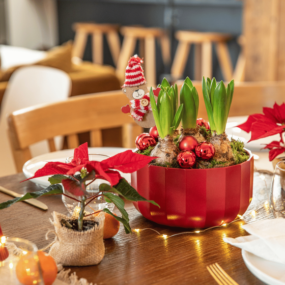 Compositions posées sur une table de noël