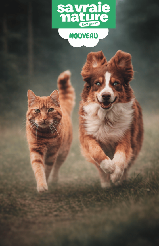 Mise en avant nouvelle gamme de croquettes low grain Sa vraie nature