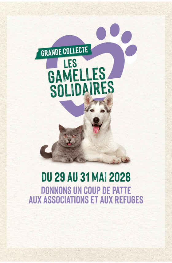 L'affiche botanic® de la collecte de nourritures et accessoires pour les animaux des recueillis par les refuches et associations
