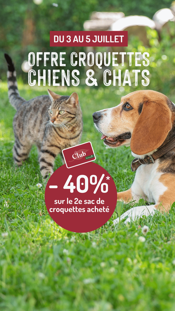 Offre exclusive clients club botanic sur les croquettes, -40% sur le 2e sac acheté