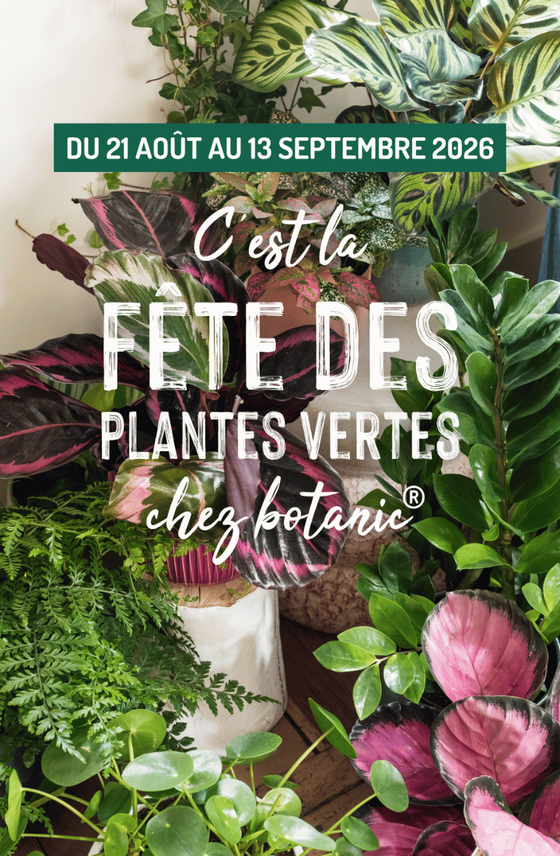 Affiche Fête des plantes vertes 2026